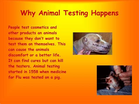 do listerine test on animals|Facts and figures on animal testing .